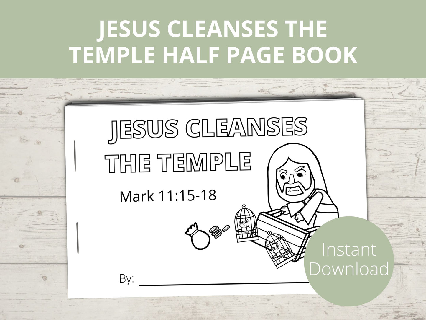 Jesus Cleanses the Temple Half Page Book