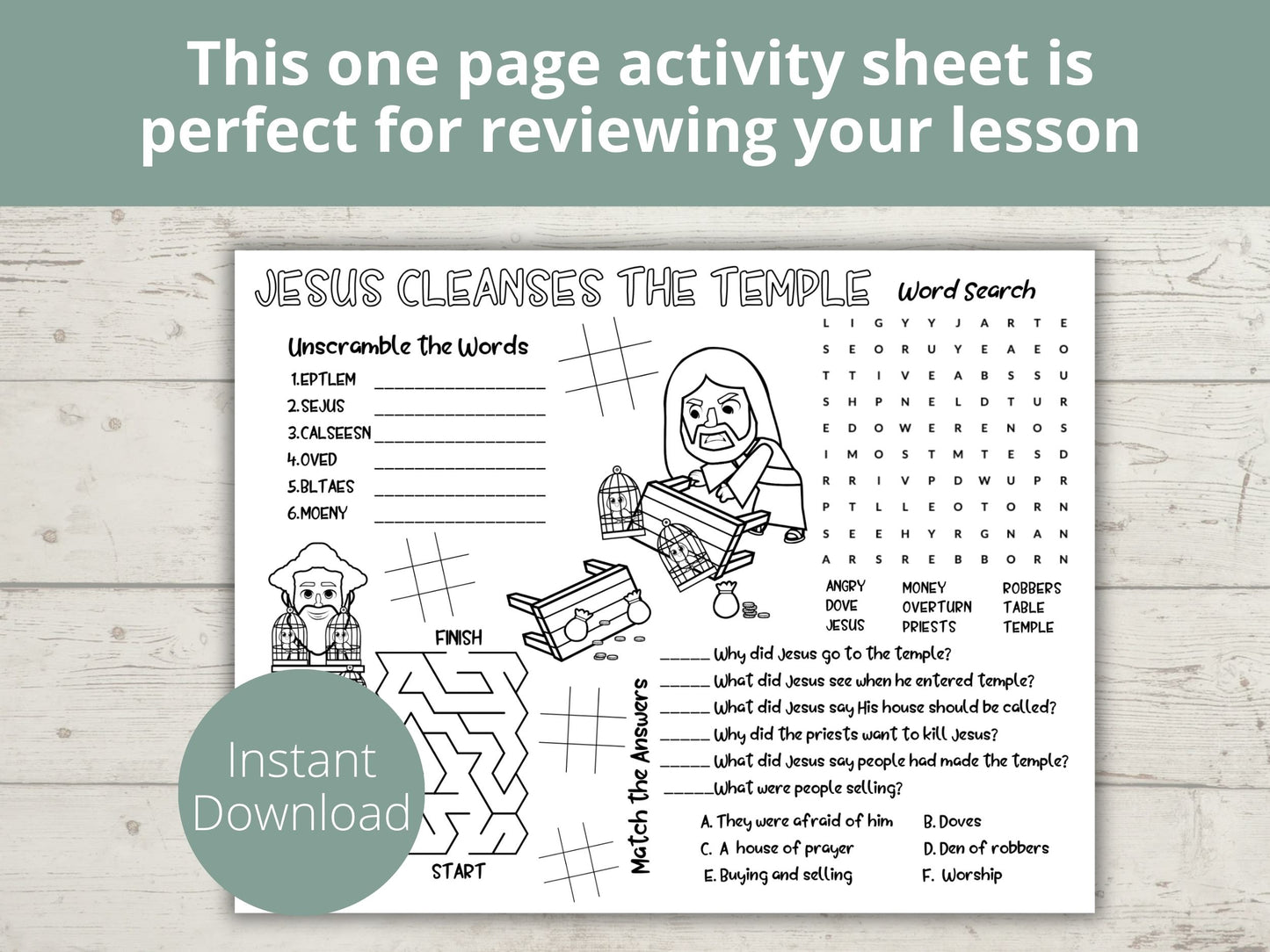 Jesus Cleanses the Temple Activity Page