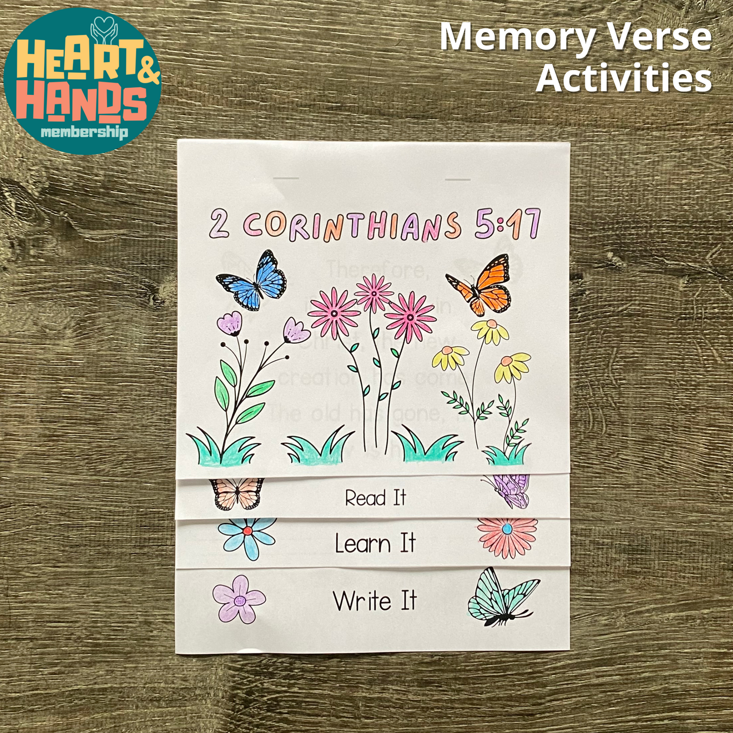 New Creation in Christ Activity Pack