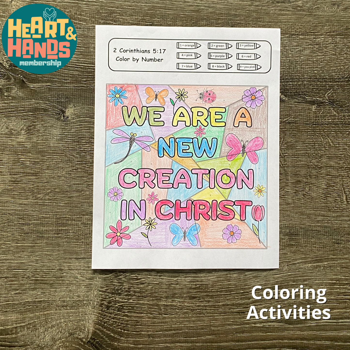 New Creation in Christ Activity Pack