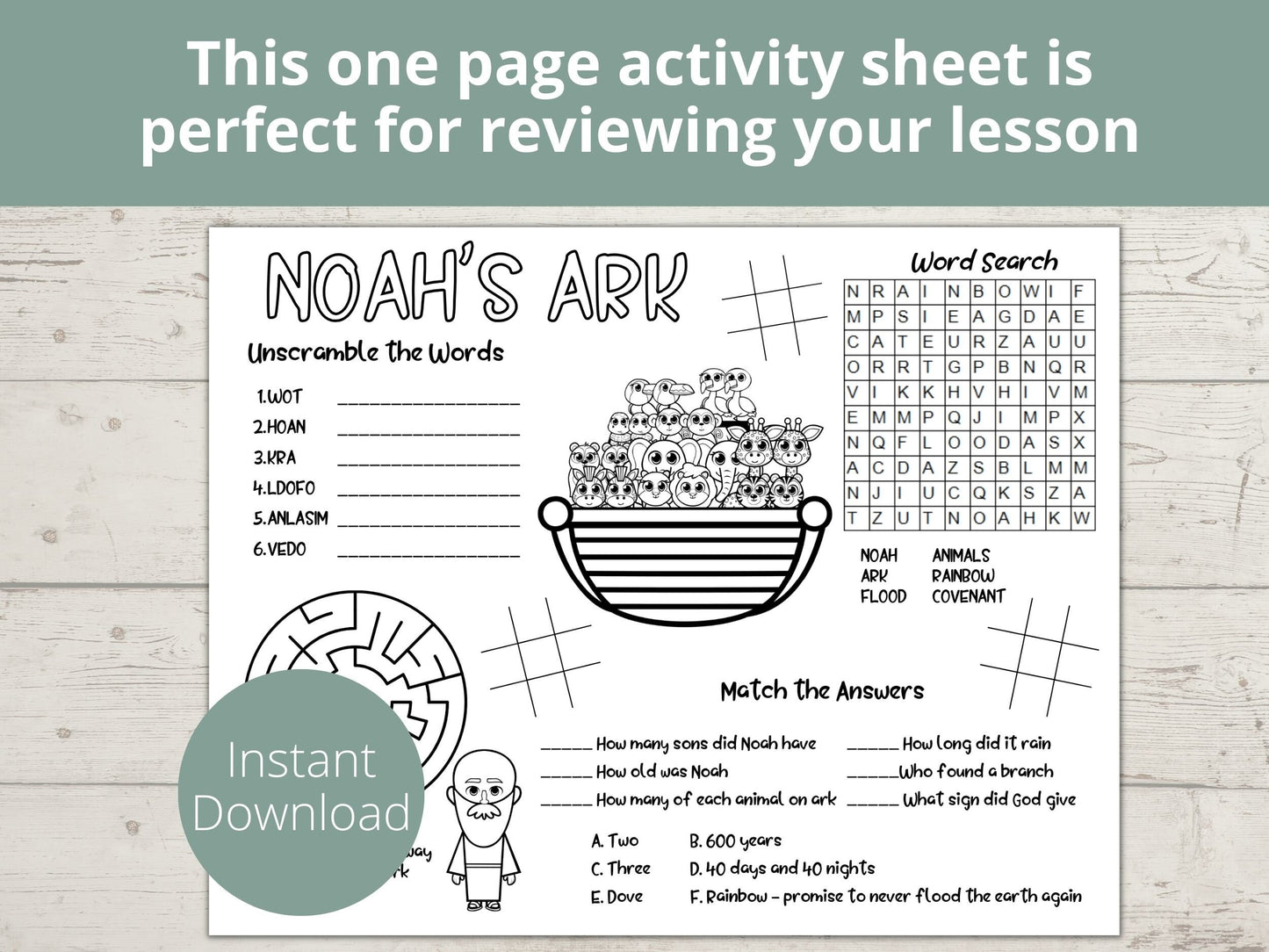 Noah's Ark Printable Activity Page