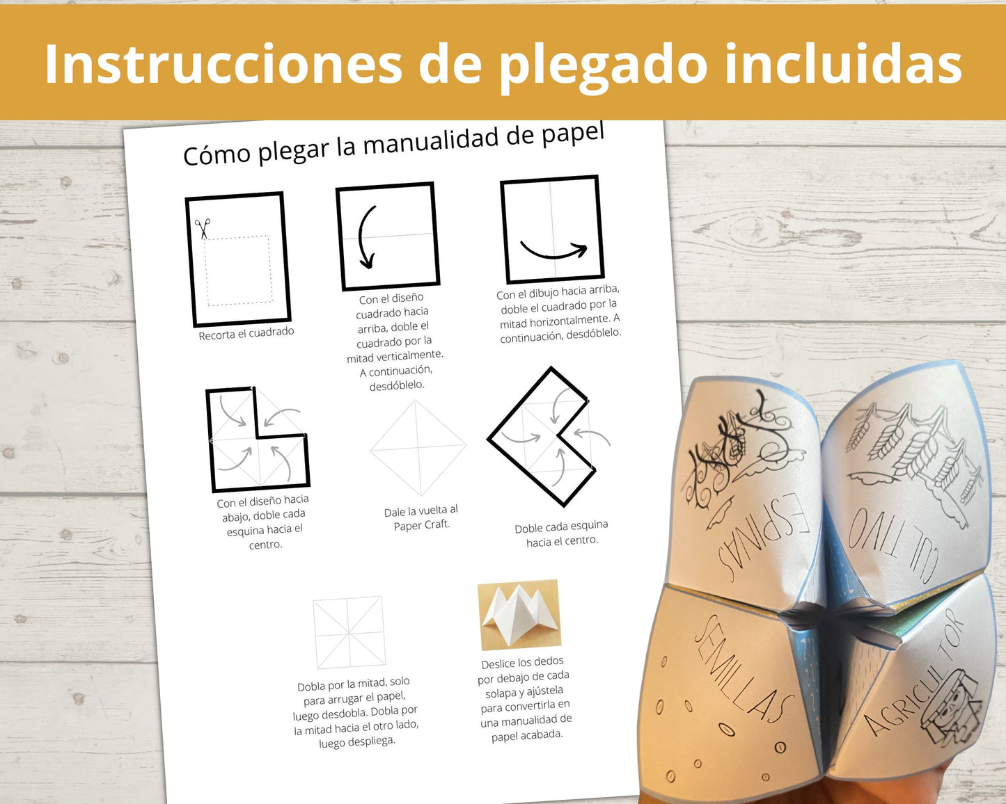 Parable of the Sower/Parábola del sembrador Cootie Catcher in Spanish