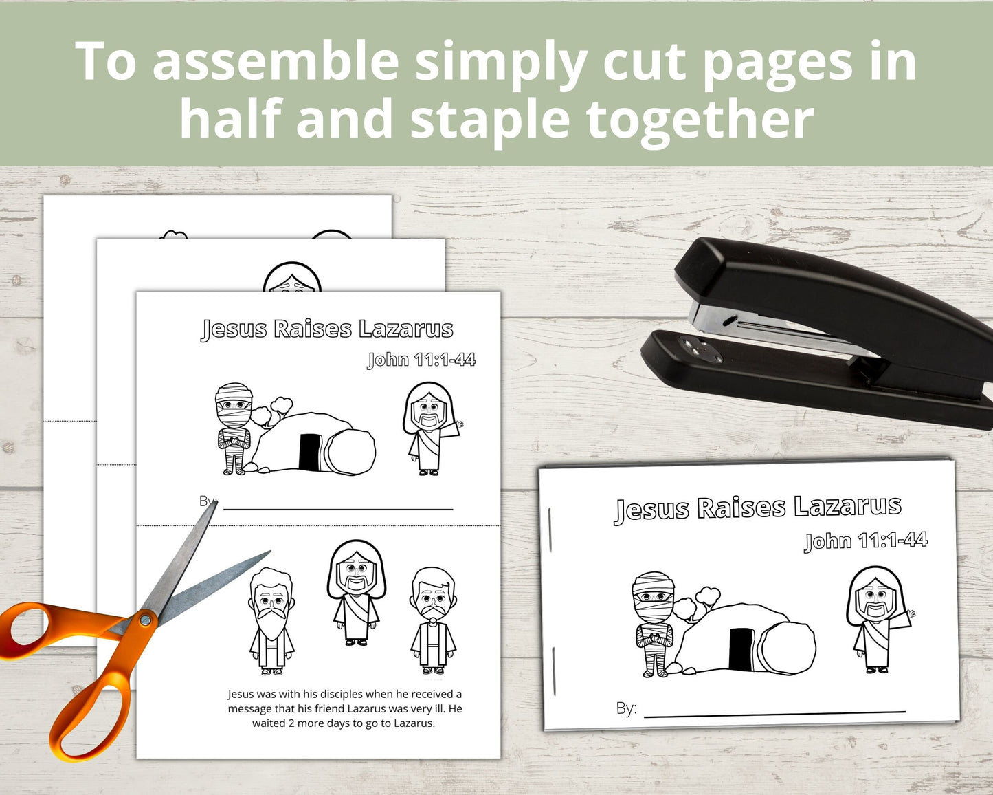 Jesus Raises Lazarus Printable Half Page Book