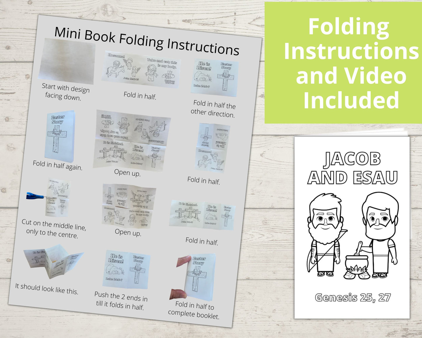 Jacob and Esau Printable Mini book