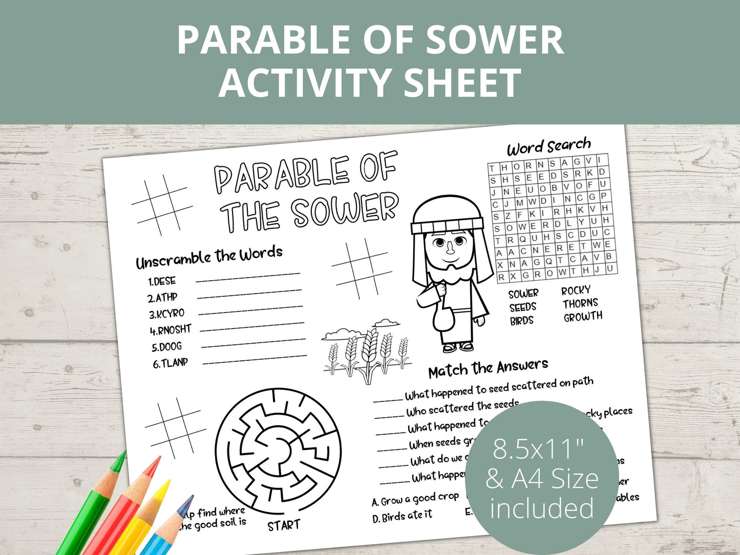 Parable of the Sower Printable Activity Page