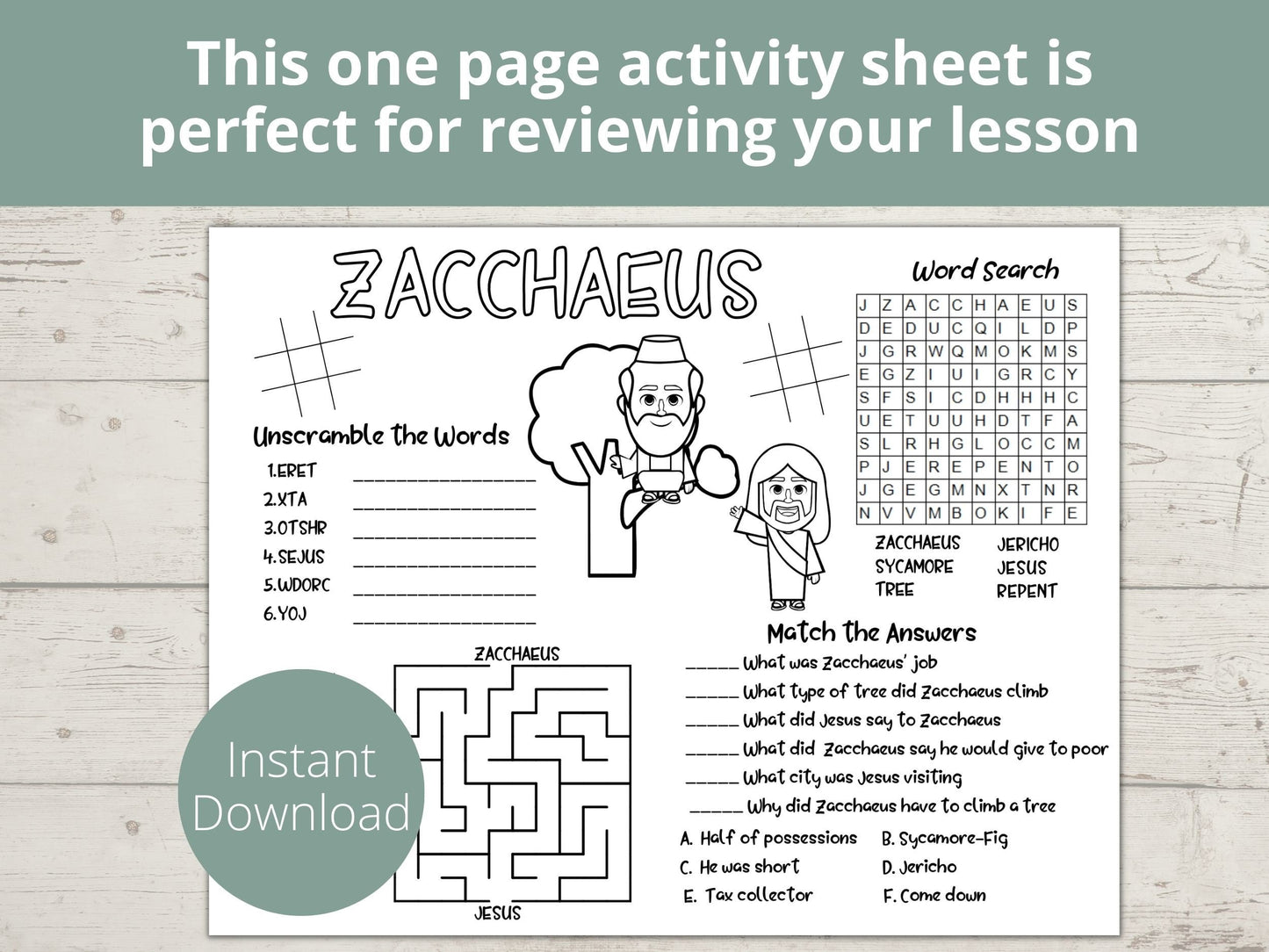 Zacchaeus Printable Activity Page