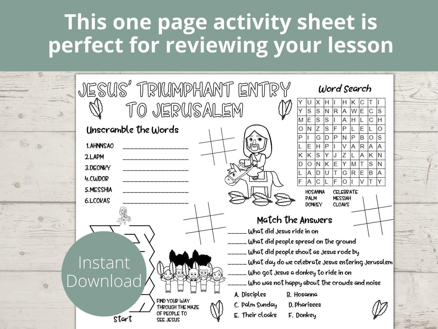 Jesus Triumphant Entry to Jerusalem Printable Activity Page