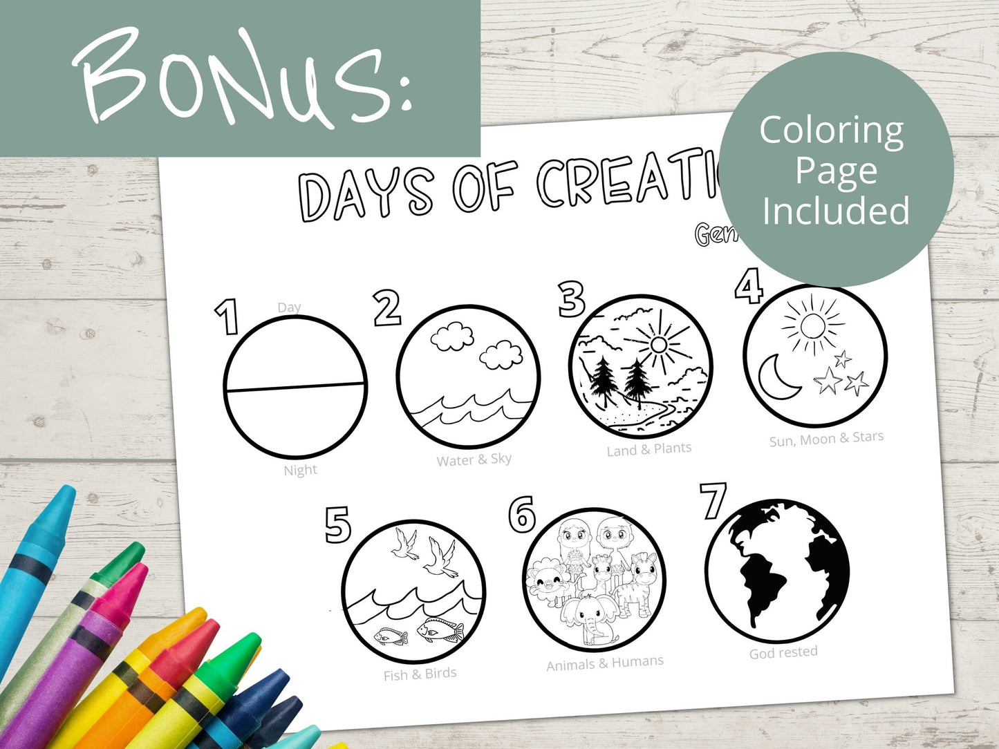 Days of Creation Printable Activity Page