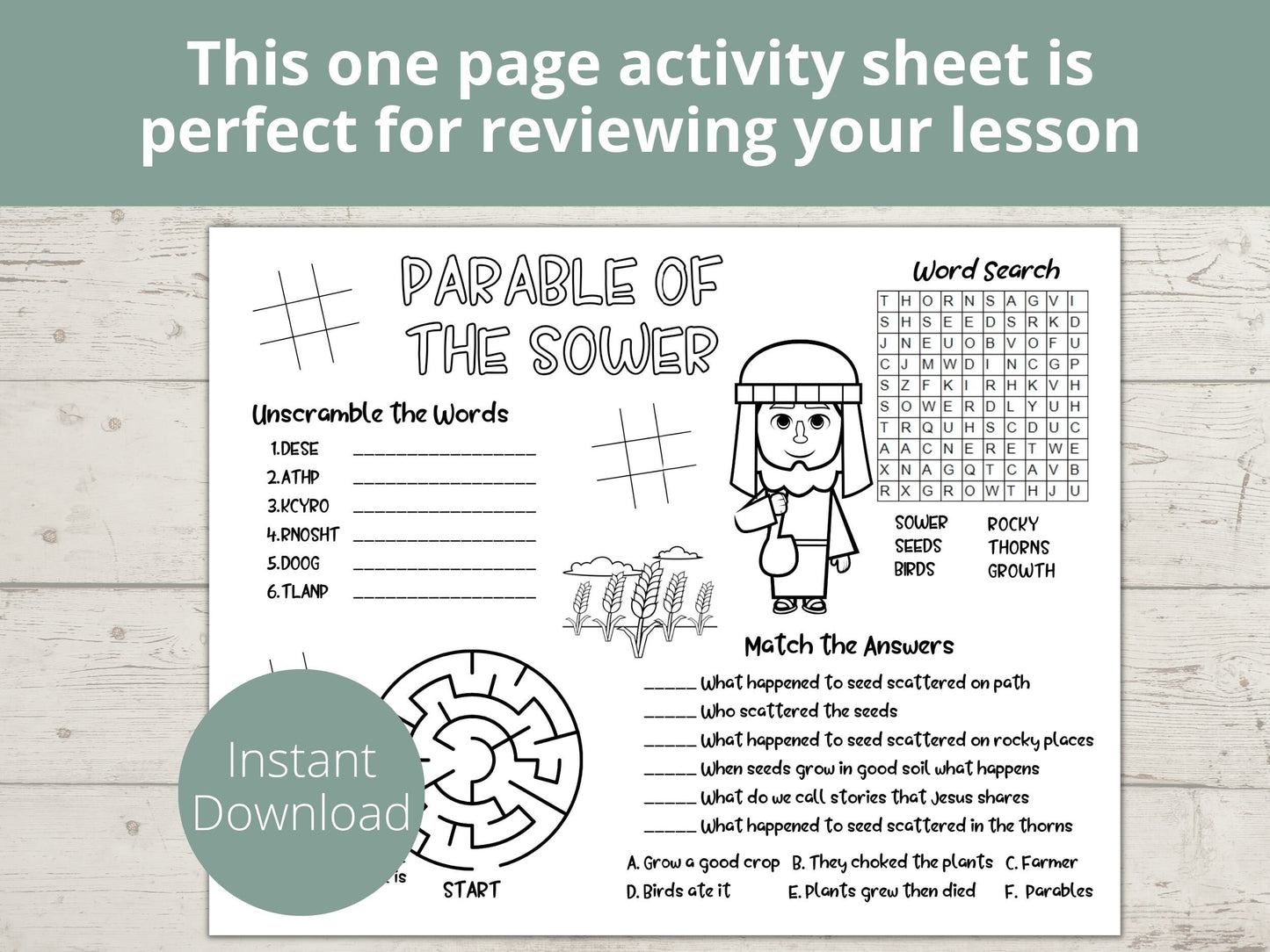 Parable of the Sower Printable Activity Page