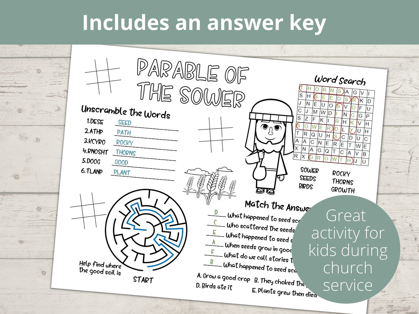 Parable of the Sower Printable Activity Page